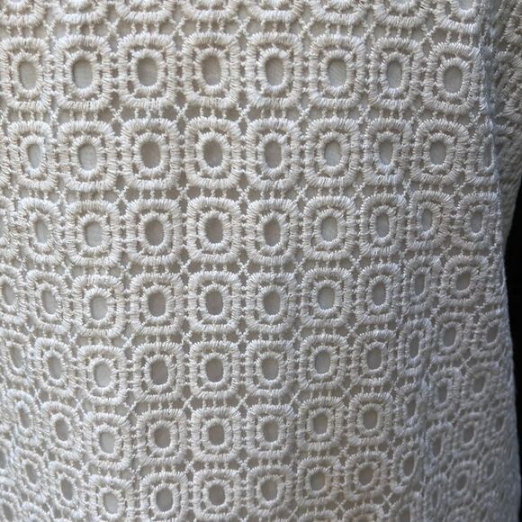 CLUB MONACO,  EMBROIDERED SHIFT DRESS. Size 6 - Picture 2 of 9